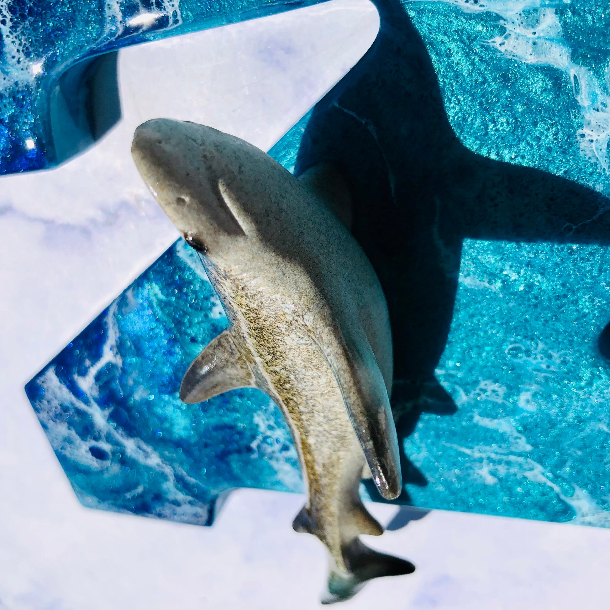 Personalized Shark Wall Resin Art | Shark Wall Hanging | Fishing Lover Wall Art | Beach Art | Shark Wall Art | Shark Week | Shark Lover Gift - Nikkisstuffnthings